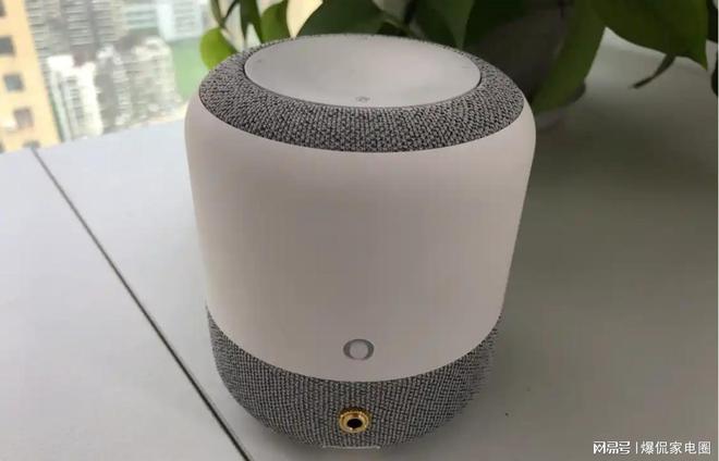 枉钱？2024年最值得入手的两款音箱推荐m6米乐app智能音箱怎么选才能不花冤(图15)