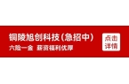 陵的又一座长江公铁大桥最新进展！一批失信